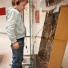 2013: Dissoziierte Plastik I -die Tauben, die glauben, was sie hören- Ausstellung der Kassenärztlichen Vereinigung Bremen, Januar 2014